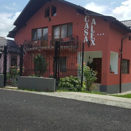 Vila Alex Hotel Călimăneşti Esterno foto