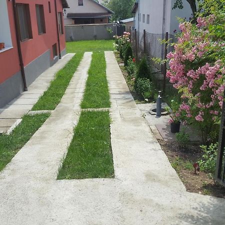 Vila Alex Hotel Călimăneşti Esterno foto