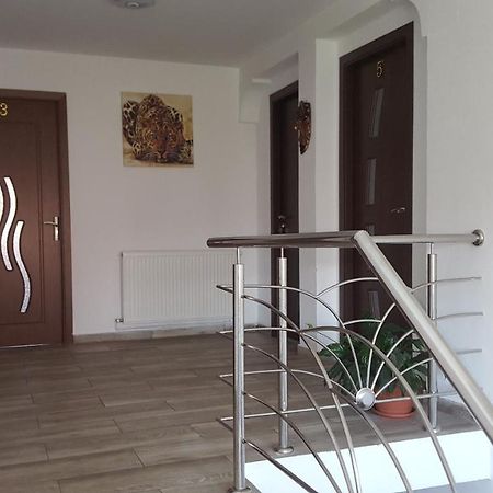 Vila Alex Hotel Călimăneşti Esterno foto