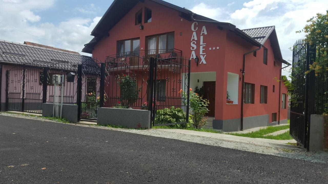 Vila Alex Hotel Călimăneşti Esterno foto