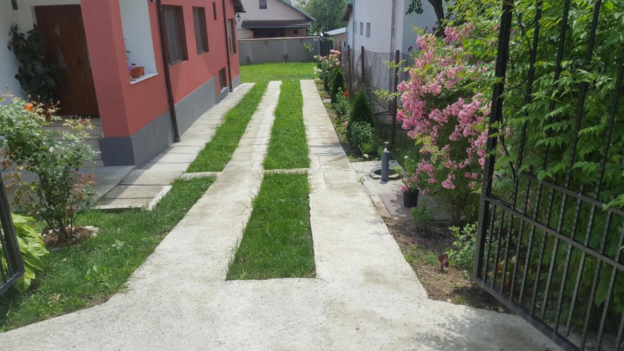 Vila Alex Hotel Călimăneşti Esterno foto