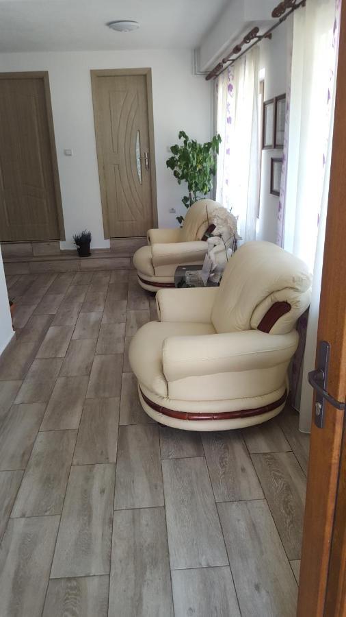 Vila Alex Hotel Călimăneşti Esterno foto