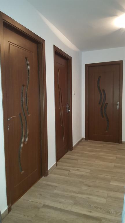 Vila Alex Hotel Călimăneşti Esterno foto