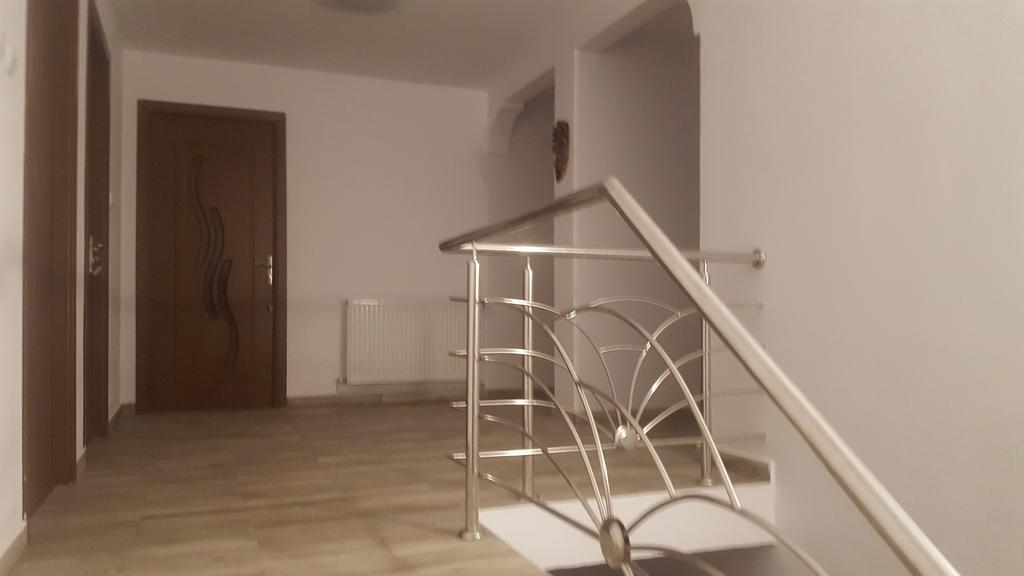 Vila Alex Hotel Călimăneşti Esterno foto