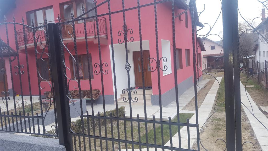 Vila Alex Hotel Călimăneşti Esterno foto