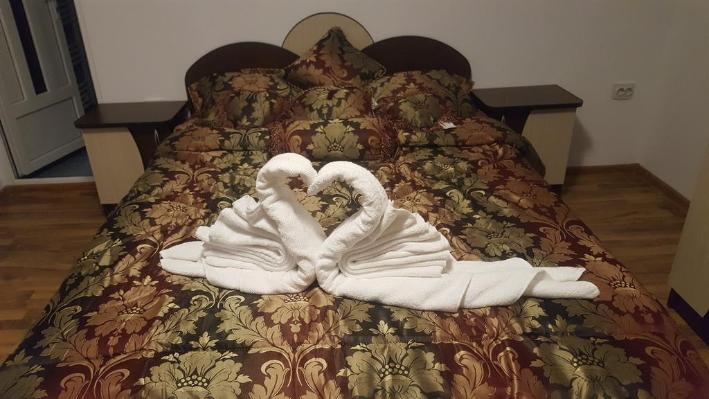 Vila Alex Hotel Călimăneşti Esterno foto
