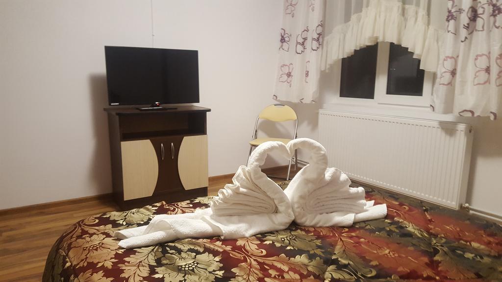 Vila Alex Hotel Călimăneşti Esterno foto