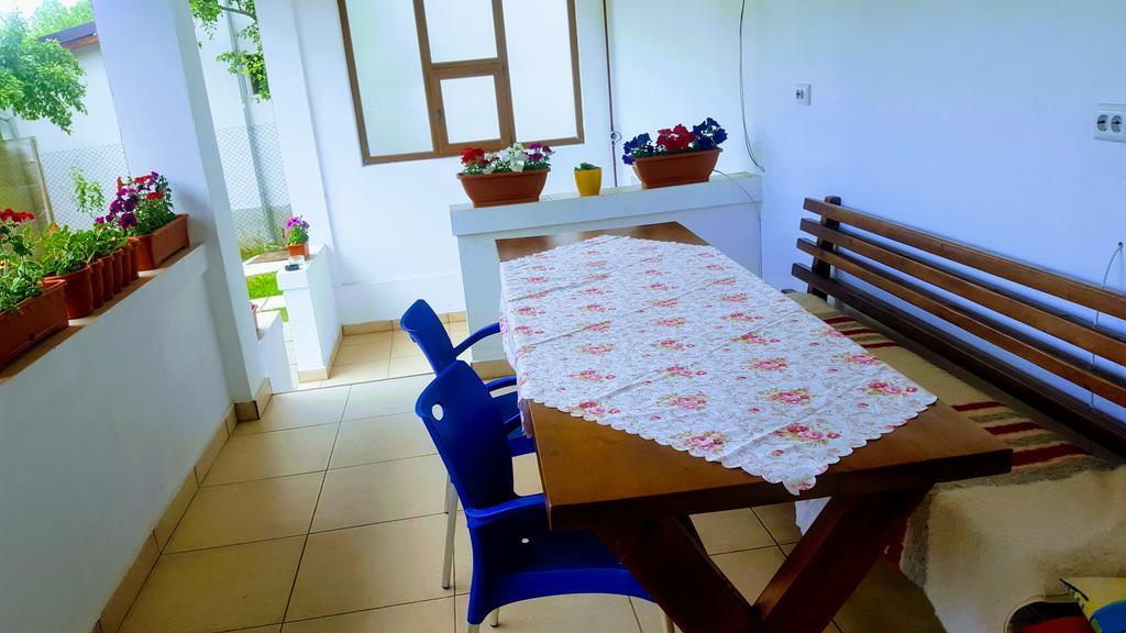 Vila Alex Hotel Călimăneşti Esterno foto