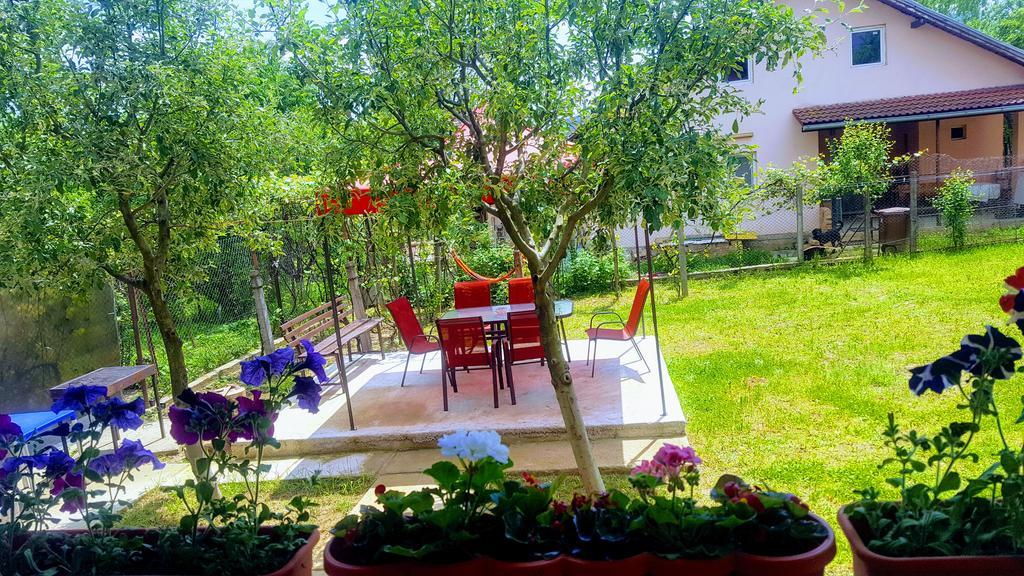 Vila Alex Hotel Călimăneşti Esterno foto