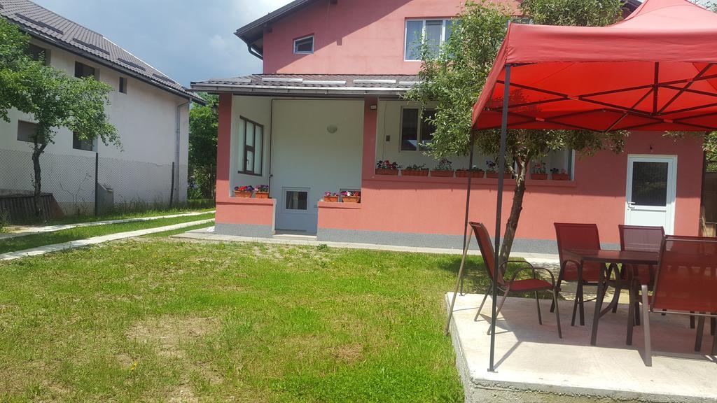 Vila Alex Hotel Călimăneşti Esterno foto