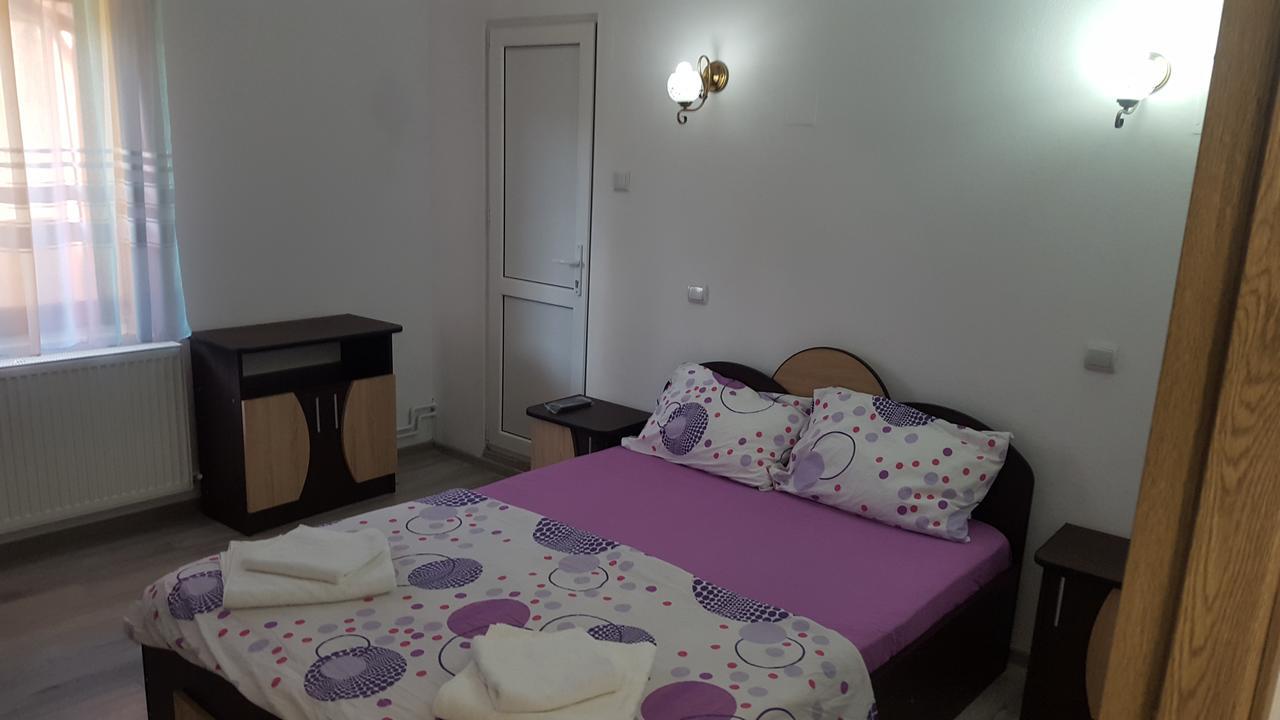 Vila Alex Hotel Călimăneşti Esterno foto