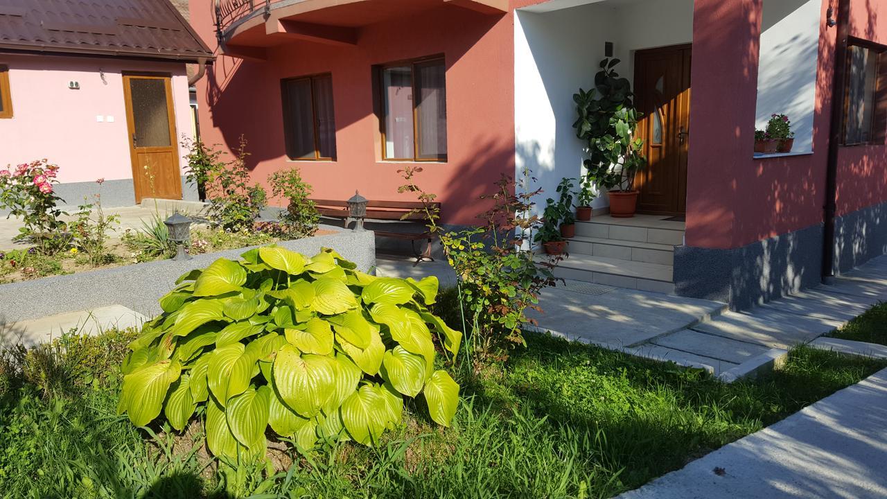 Vila Alex Hotel Călimăneşti Esterno foto