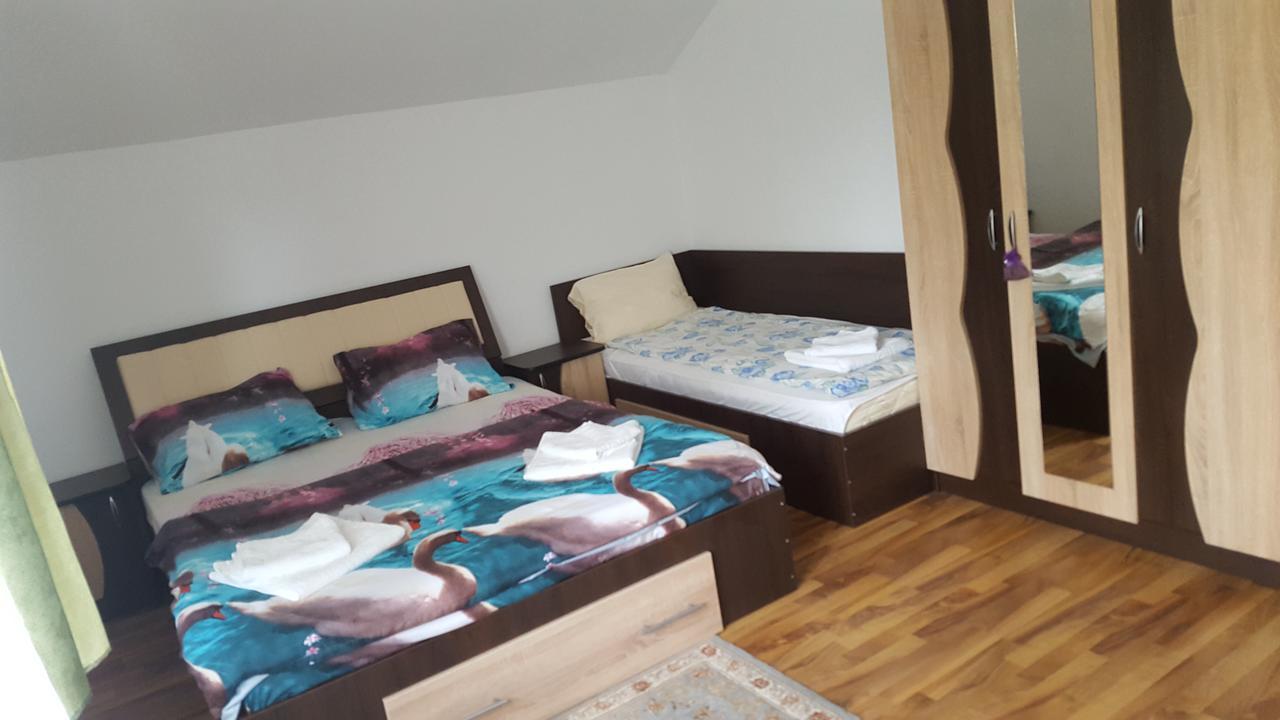 Vila Alex Hotel Călimăneşti Esterno foto