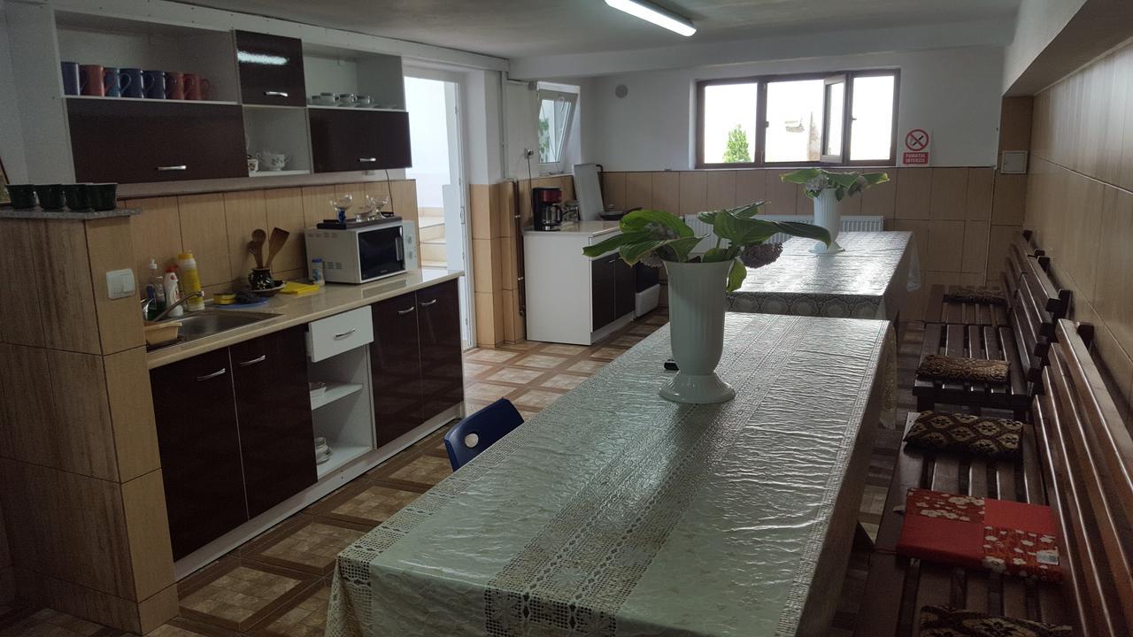 Vila Alex Hotel Călimăneşti Esterno foto